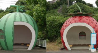 Au Japon, les abribus se transforment en fruits et légumes