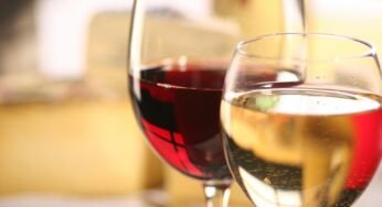 7 erreurs à éviter pour conserver son vin