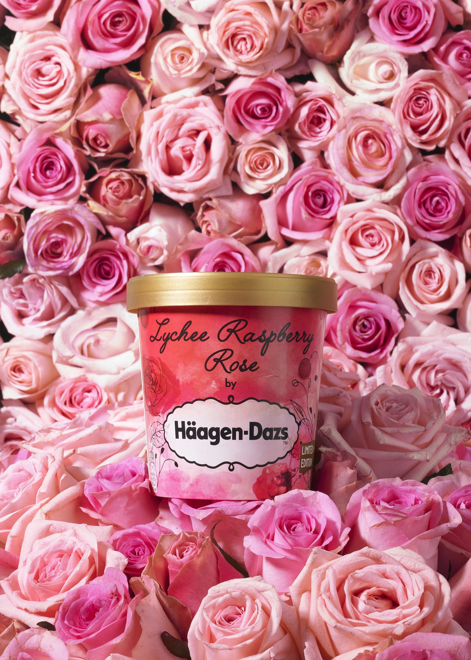 Häagen-Dazs-Lychee-Raspeberry-Rose | Food Geek and Love Häagen-Dazs-Lychee-Raspeberry-Rose