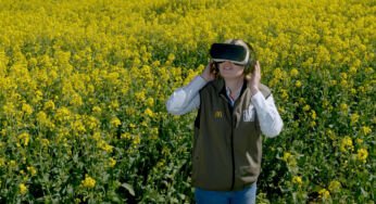 L’origine des burgers McDonald’s en réalité virtuelle